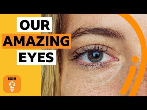 What do our eyes say about us? | BBC Ideas