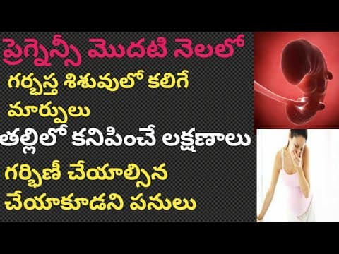 ప్రెగ్నెన్సీ 1వ నెల | 1st month of pregnancy symptoms | baby growth | 1st trimester | Akiransh mom's