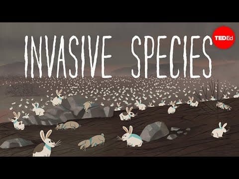 The threat of invasive species - Jennifer Klos - YouTube