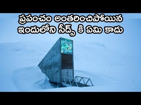 Svalbard Global Seed Vault | what is the main purpose of the svalbard seed vault