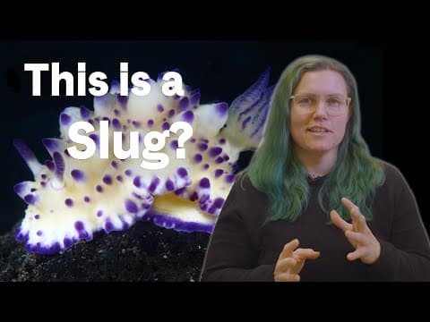 What the Heck Is a Nudibranch? with Marine Biologist Jessica Goodheart - YouTube