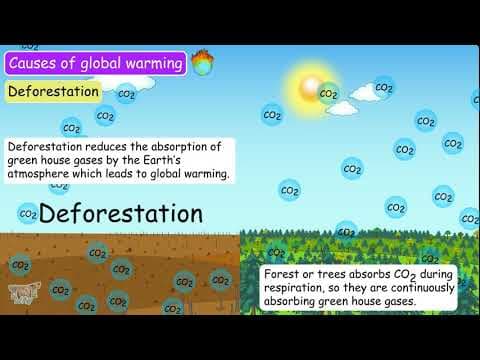 GLOBAL WARMING - Our EcosystemPart-2