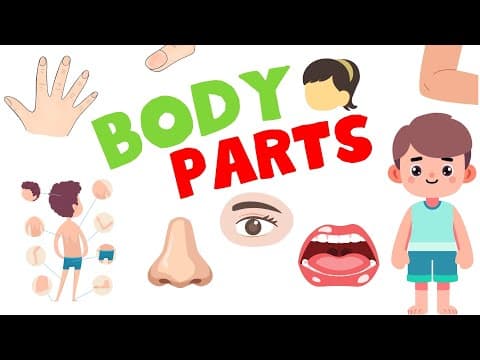 Parts of the Body for Kids | Learn Body Parts Names | Fun & Educational Video | Baby Kids