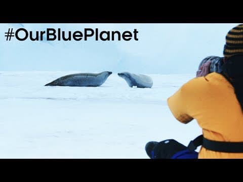 Filming On Thin Ice In Antarctica OurBluePlanet