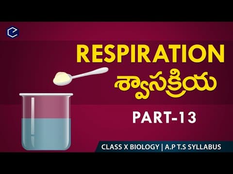 Human respiratory system 13 in English & Telugu