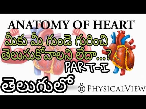 ANATOMY OF HEART PART 1 || IN TELUGU || WHY DON'T YOU KNOW ABOUT YOUR HEART....?