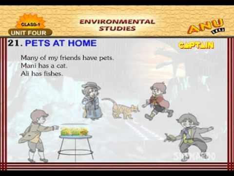 Kids learning videos - pets and home