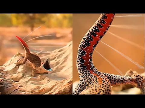 14 Animals With Real Superpowers