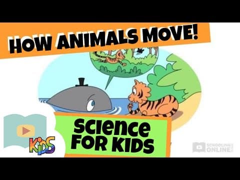 How Different Animals Move Depending on their Size and Shape | Science for Kids FULL lesson