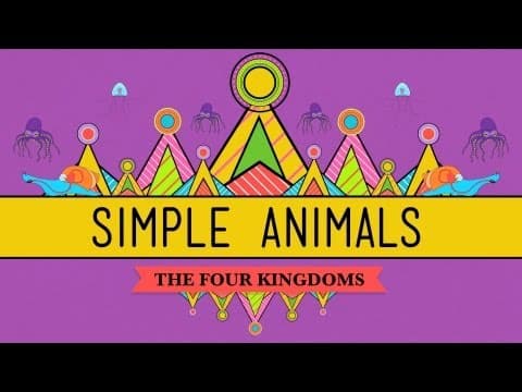 Simple Animals: Sponges, Jellies, & Octopuses - Crash Course Biology #22 - YouTube