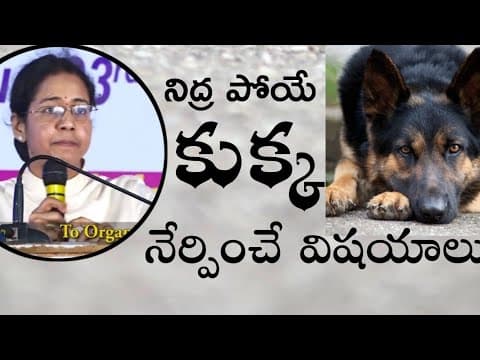 నిద్ర పోయే కుక్క నుంచి నేర్చుకోవాల్సిన నీతి కథ - డి.ఎస్.పి సరితా గారి ప్రసంగం - dsp saritha