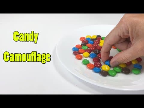 Candy Camouflage STEM Activity - YouTube