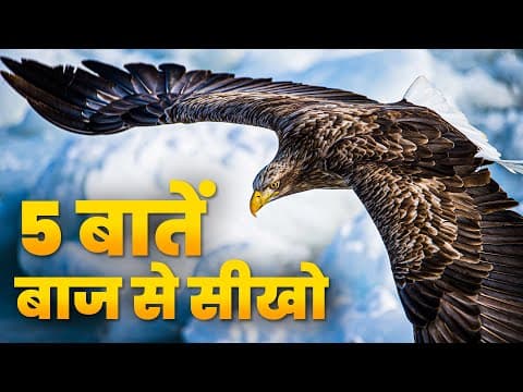 Power of Attitude (Eagle Mentality) - Best Motivational Video In Hindi | Rewirs