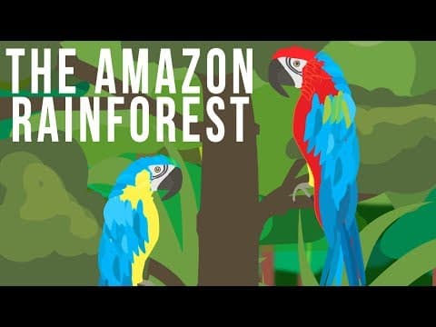 The Amazon Rainforest - YouTube