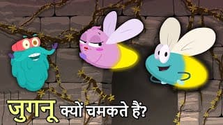 जुगनू क्यों चमकते हैं | Why Do Fireflies Glow In Hindi | Fireflies | Dr. Binocs Show