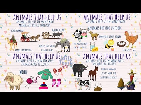 How Animals help us | Uses of Animals | Ways in which animals help Humans | Things animals give us