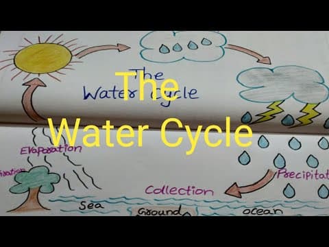 The water cycle - how rain is formed - lesson for kids - telugu