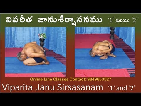 Viparita Janu Sirsasana 1 and 2 by Kuppi Reddy | Benefits | Yoga in Telugu | Yoga