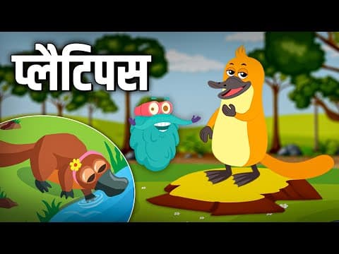 प्लैटिपस - Platypus In Hindi - Duck Billed Platypus Animal