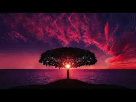 10 minute mindful breathing meditation