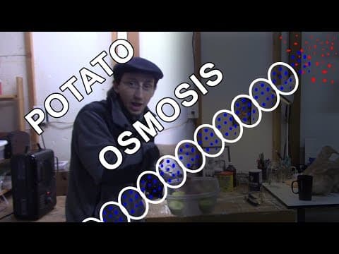 Why Too Much Salt Is Bad For Plants