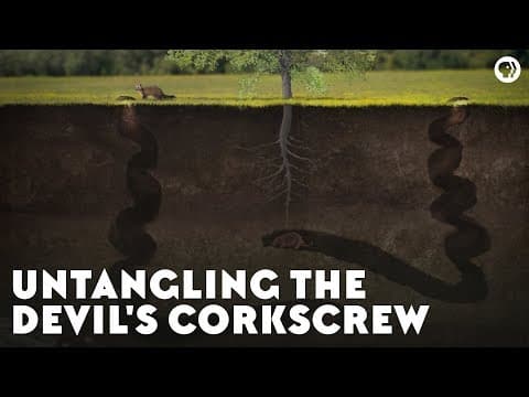 Untangling the Devil's Corkscrew - YouTube