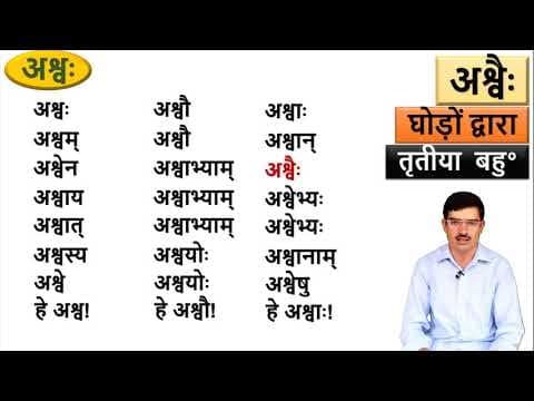 संस्कृतम् – पाठ 12, अश्वः Learn Sanskrit: Masculine Nouns