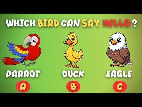 Guess the Animal, Color & Fruit! 🦜🍎 Fun Quiz Game for Kids