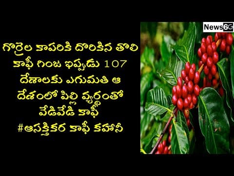 history of coffee in telugu  -  how coffee was discovered