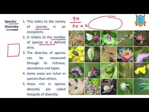 What is Species Diversity ? || Species Diversity అంటే ఏమిటి?