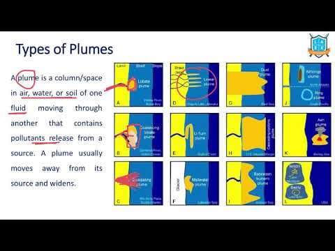 What are different Types of Plumes ? || Plumes అంటే ఏమిటి?
