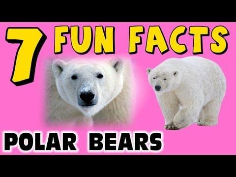 7 FUN FACTS ABOUT POLAR BEARS! BEAR FACTS FOR KIDS! Learning Colors! Arctic! Snow