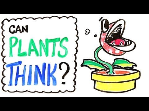 Can Plants Think