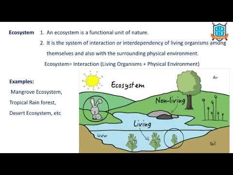 What is Ecosystem? || Ecosystem అంటే ఏమిటి?