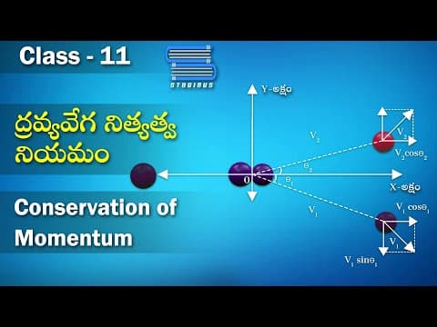 ద్రవ్యవేగ నిత్యత్వ నియమం | Conservation of Momentum | Laws of Motion | Newton's Third Law Of Motion