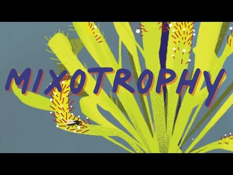 Elysia chlorotica a solar-powered sea slug that Is also a plant