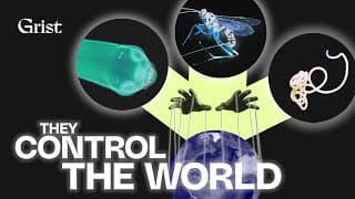 Nature can not run without parasites. What happens when they start to disappear