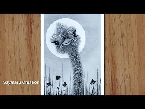 How to draw a baby ostrich scenery with pencil, Easy Pencil Sketch Drawing