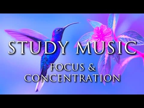 Relaxing Study Music for Focus & Concentration Do Homework Fast & Easy - Background Homework Music