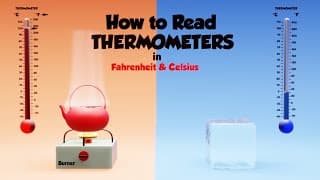 How to Read a Thermometer|Parts of a Thermometer|Reading a Thermometer for Kids