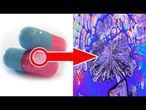 15 amazing things seen under a microscope