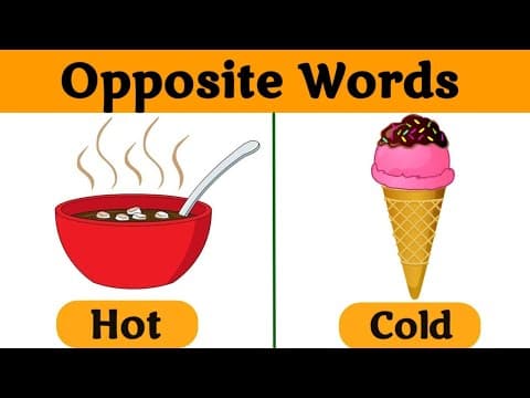 Opposite words in English | opposite words for kids | Opposites | Antonym for kids