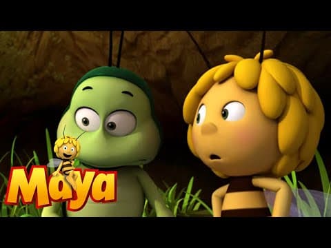 Willy Loses His Memory - Maya the Bee - Episode 54
