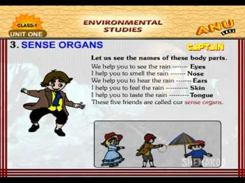 Sense organs - kids educational videos