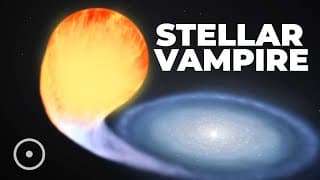 The Black Hole That Turned Out To Be A Vampire Star