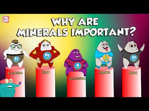 Why Are Minerals Important? | Functions Of Minerals | The Dr Binocs Show | Peekaboo Kidz - YouTube