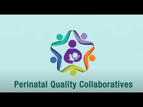 Perinatal quality collaboratives PQCs