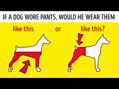 14 children’s puzzles that not even every adult can solve