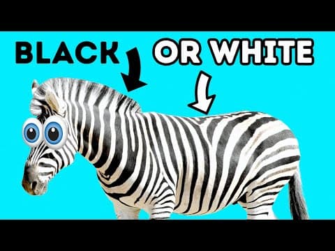 Zebras Are Actually Black and 17 Weird Animal Facts