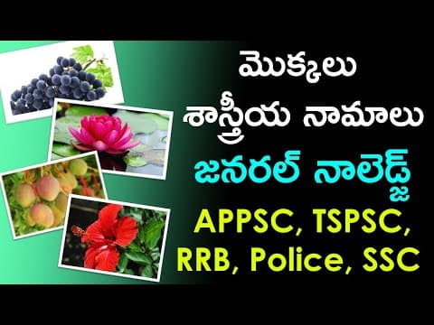 మొక్కలు శాస్త్రీయ నామాలు | Scientific Names of Plants in Telugu